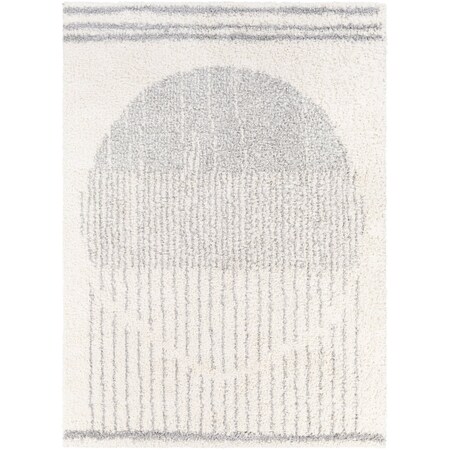 Livabliss Deluxe Shag DXS-2318 Machine Crafted Area Rug DXS2318-5373